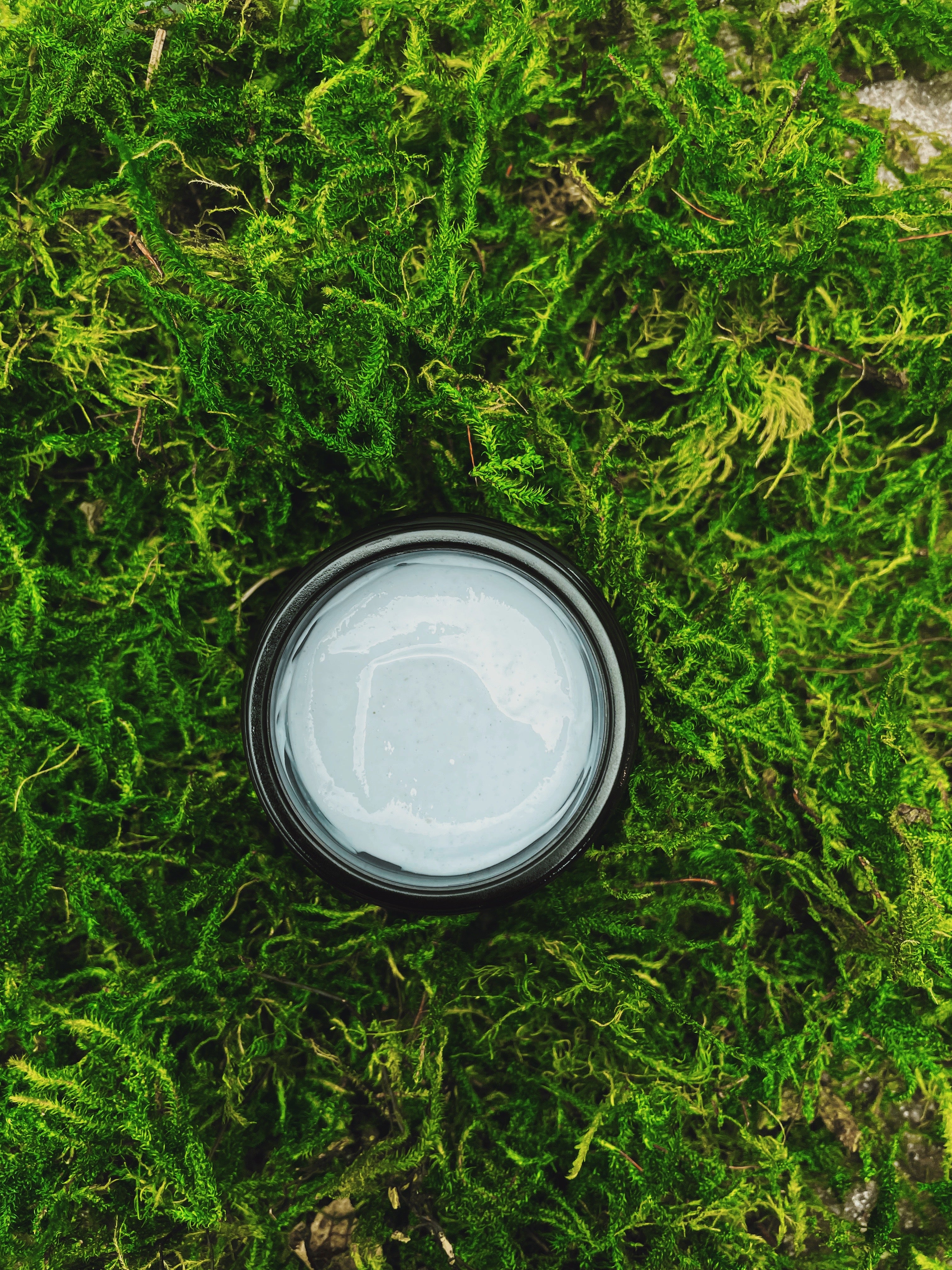 Reishi Whip Face Cream